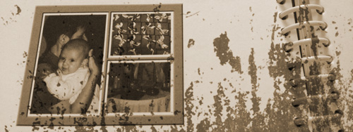 foto de livro com imagens