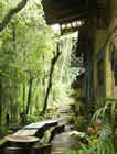 vista 1