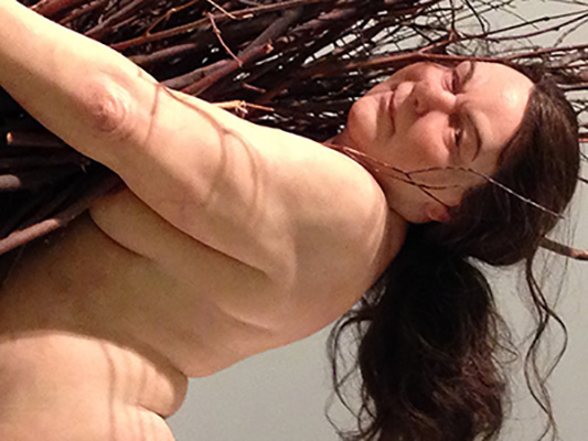ron mueck, mulher com gravetos, 2009